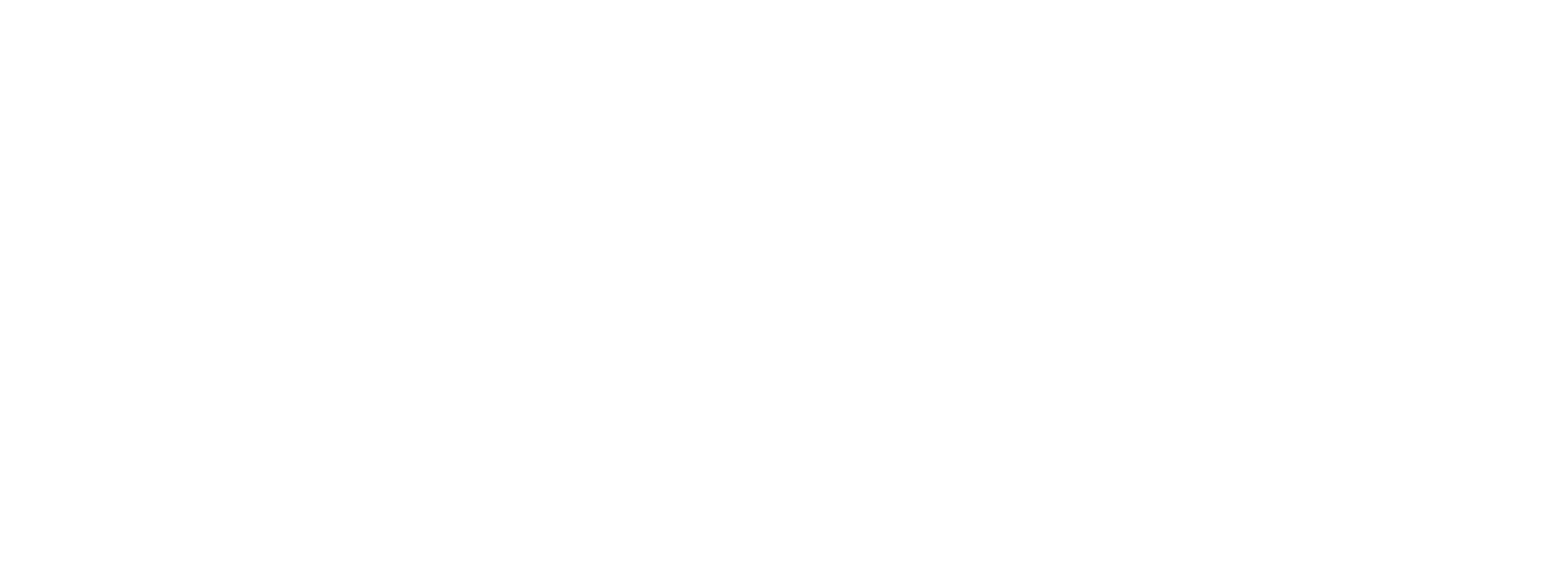 WOMAX s.c.